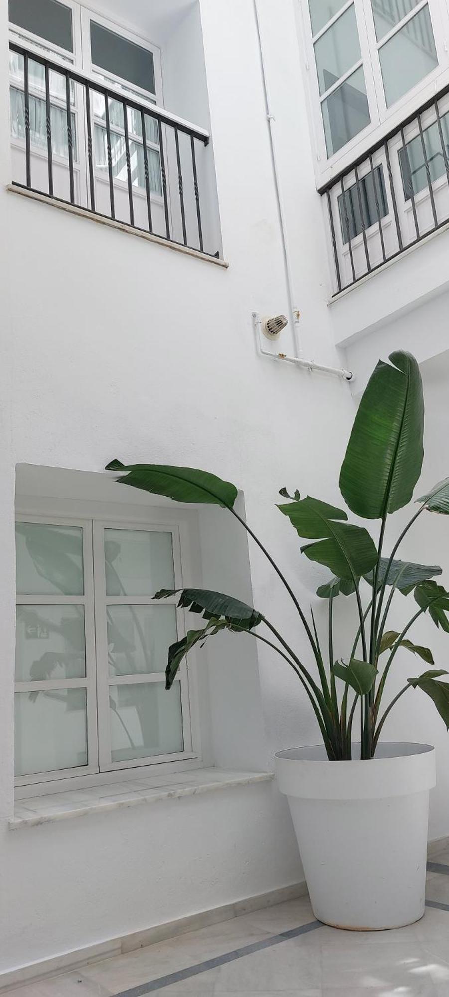 El 2 De Flamenco Bajob Apartment Cadiz Luaran gambar